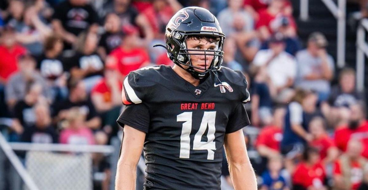 情绪化表现 情绪化表现